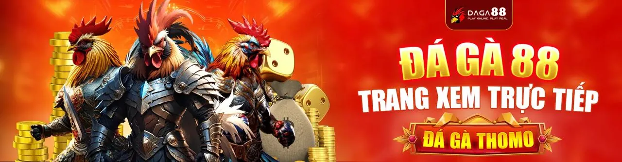 Sân đấu đá gà kịch tính tại GK88 trang chủ chính thức